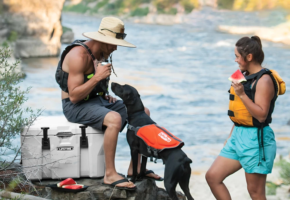 plastic picnic ice cooler box