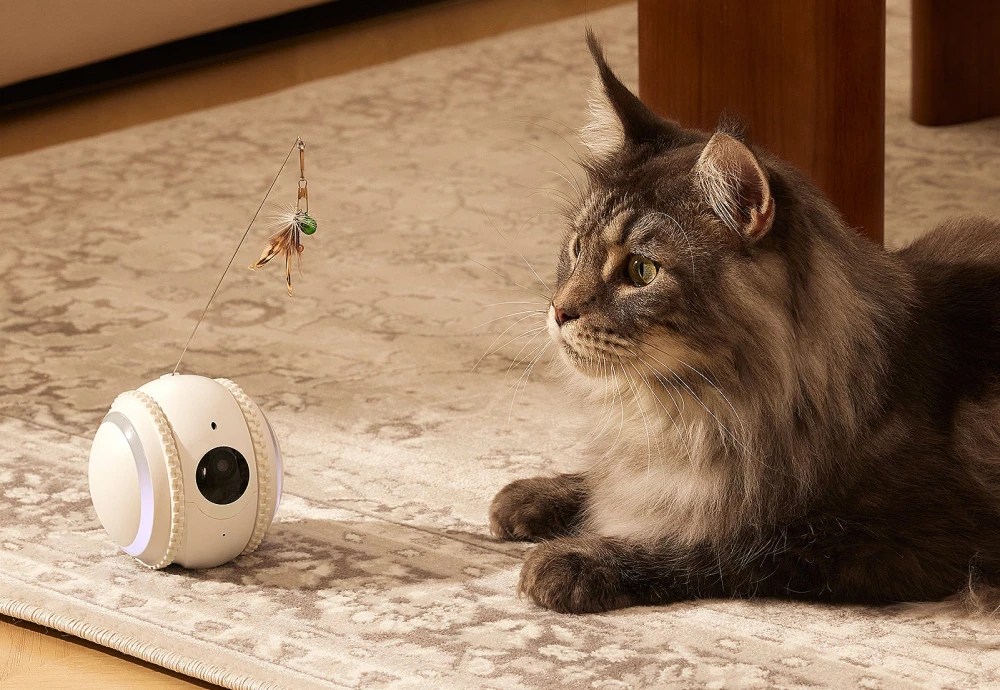 pet cameras for home