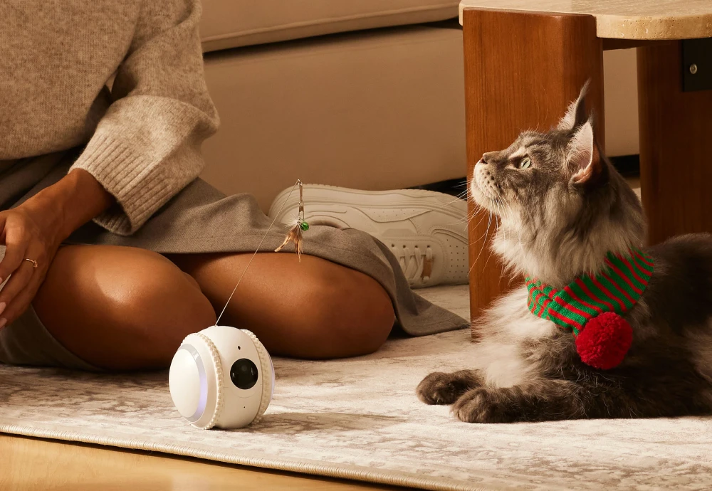 pet cameras for home