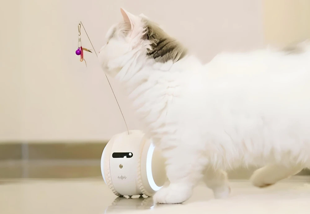 best pet security camera