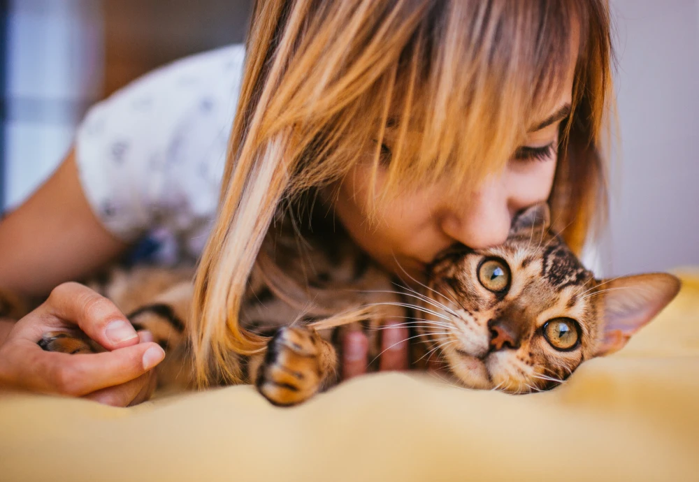 camera to watch pets at home