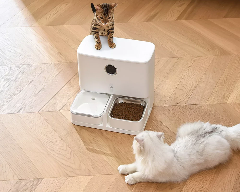 automatic dog feeder for kennel