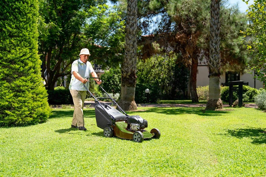 best rated cordless lawn mower